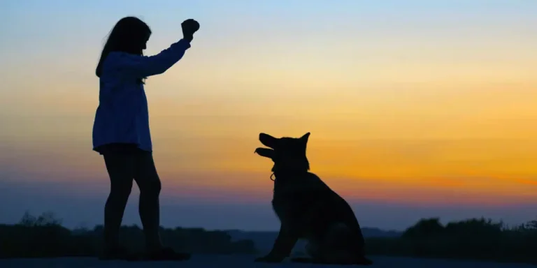 Éducateur canin à Lyon